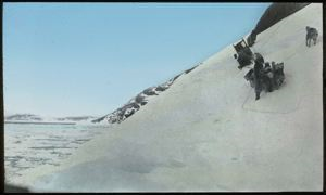Image: MacMillan's sledge descending a snow bank at Cape Sabine